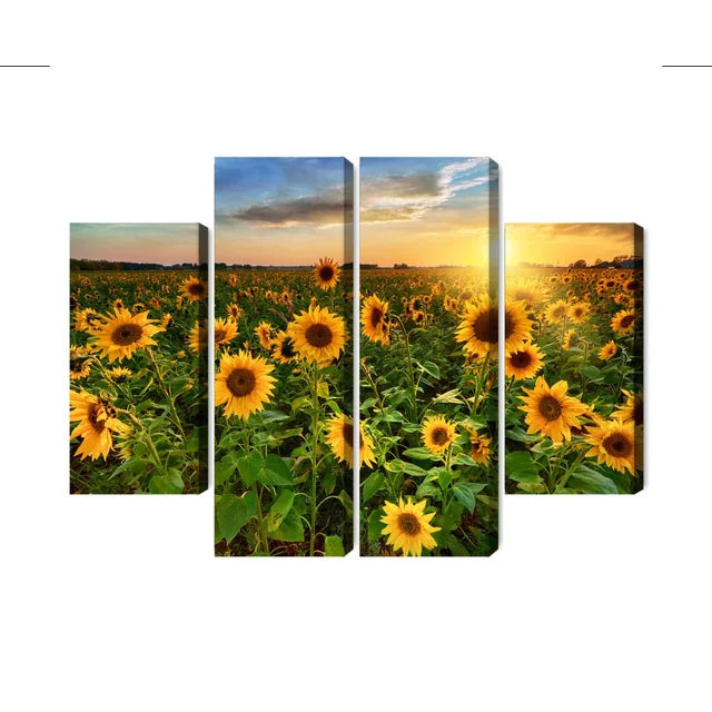 Cuadro de varias partes Campo de girasoles al atardecer 3D