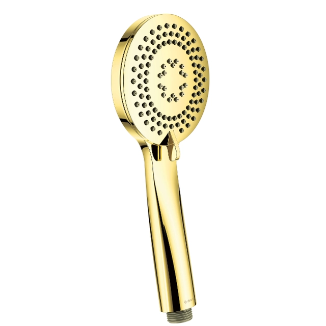 Deante Arnika gold shower head