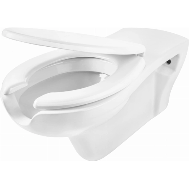 Deante Vital Toilet bowl for disabled people