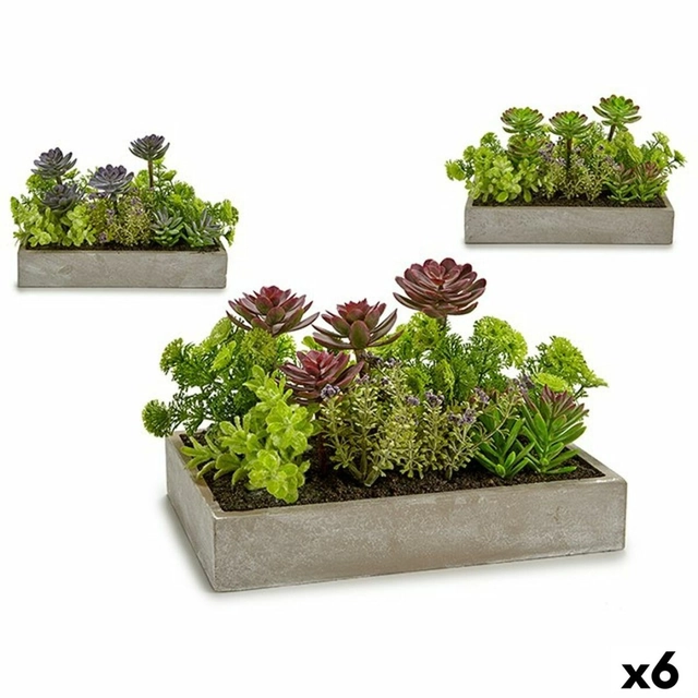 Dekorativ plante sukkulent plastcement 16,5 x 20 x 28,5 cm (6 Stykker)