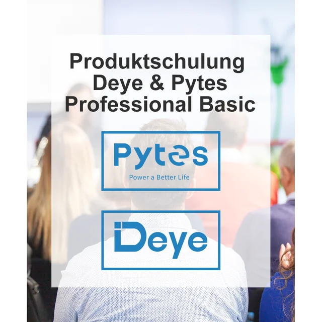 Deye & Pytes produktų mokymai „Professional Basic“