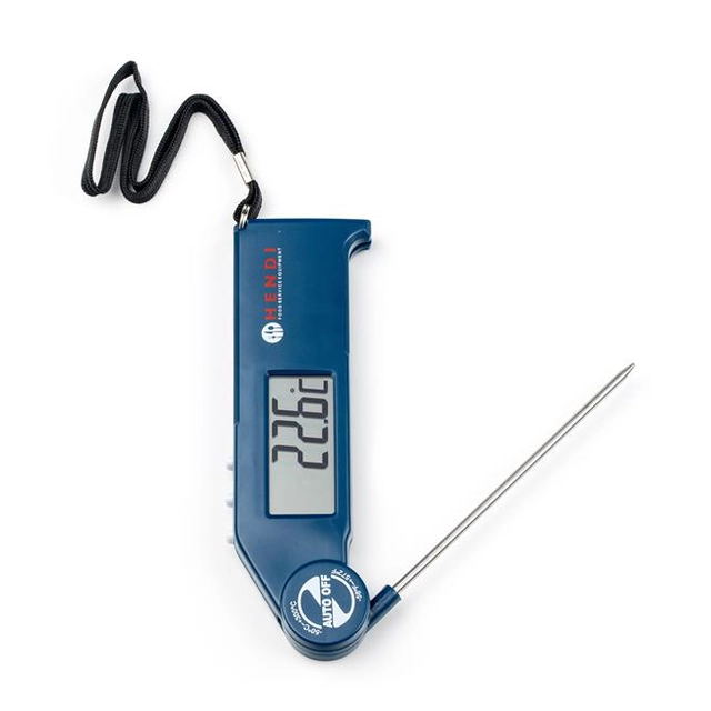 Digital thermometer with foldable probe