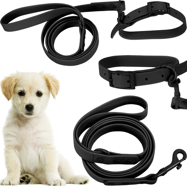 Dog leash and collar PJ-067 black S