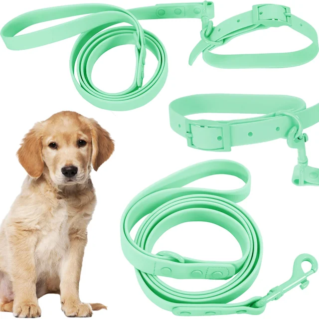 Dog leash and collar PJ-073 green M