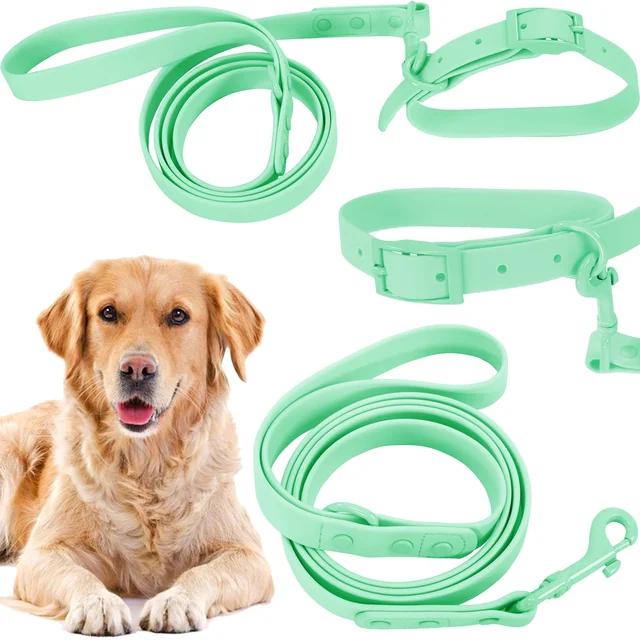 Dog leash and collar PJ-077 green L