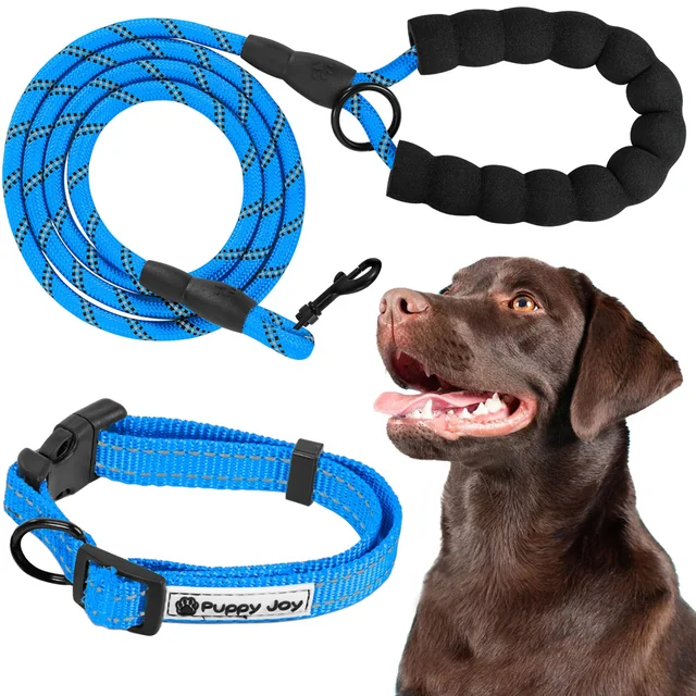 Dog leash and collar reflective PJ-037 blue