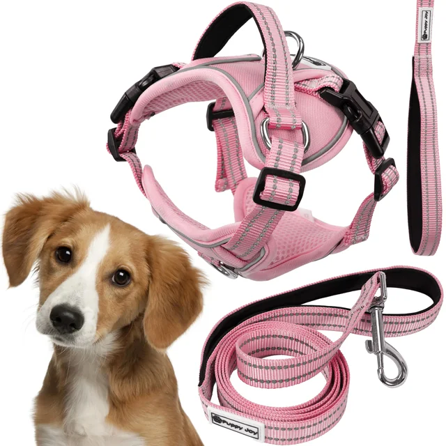 Dog leash and harness PJ-056 pink M