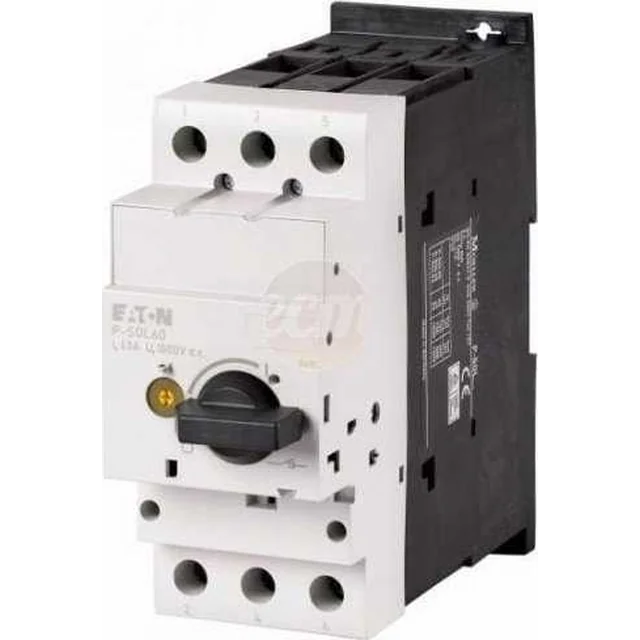 Eaton Switch skyriklis fotovoltiniam montaaži 2P 60A DC P-SOL60 120936