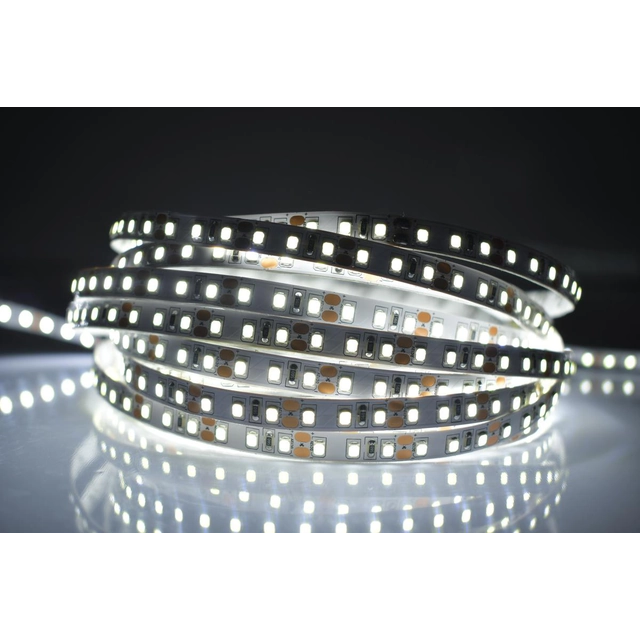 Ecolite DX-120SMD-4100/25M LED strip 6565SMD 24W/m uden dækning dag hvid 12V