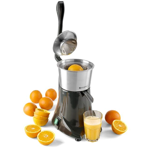 Electric citrus juicer