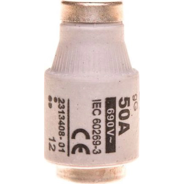 Eti-Polam Fuse link 50A DIII gG / BiWtz 690V E33 002313408