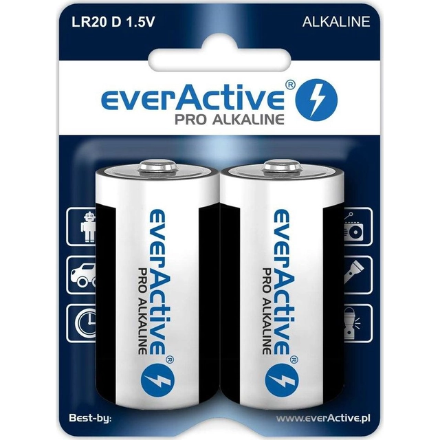 EverActive-akku D / R20 2 kpl.
