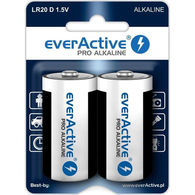 EverActive Battery D / R20 2 pcs.