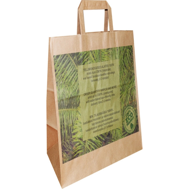 Kraft Paper Bag with Flat Paper Handle