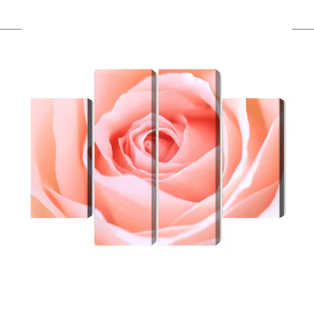 Flerdelt maleri Pastel Rose Makroskala 3D