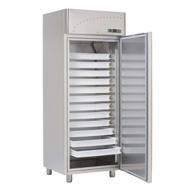 Frigo per la conservazione del pesce 12x600x400 | RM GASTRO