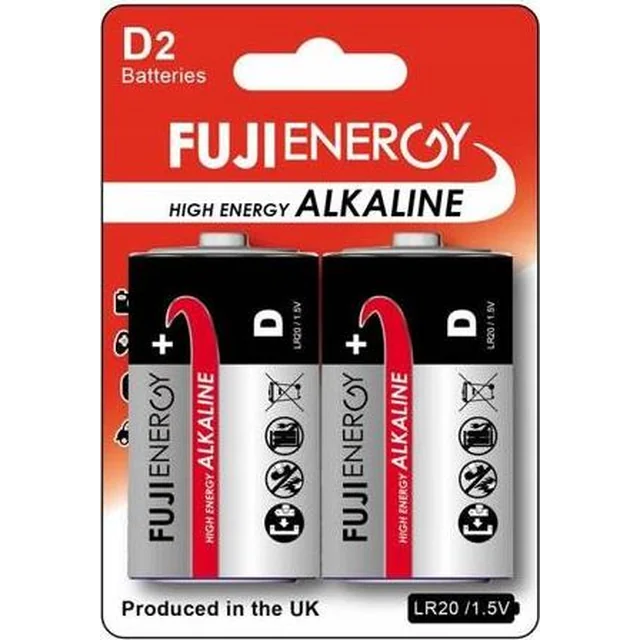 Fuji Battery D / R20 2 pcs.