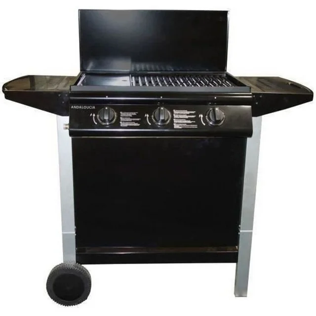 Gasgrill Grill Have 10,5 KW (62 x 42 cm)