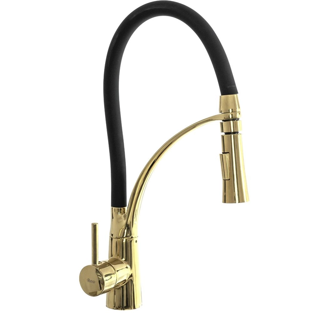 GASPAR Black-Gold Kitchen Faucet