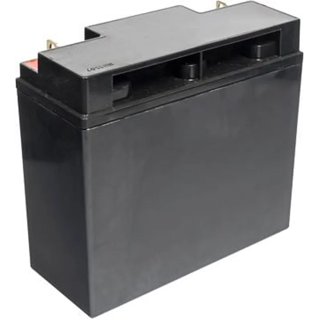 Green-Cell-Batterie 12V/20Ah (AGM10)