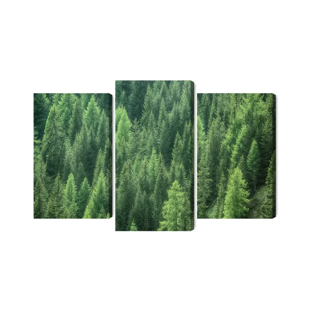 Green Forest View Multi-part Image 3D