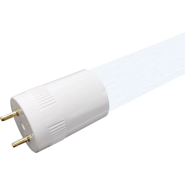 Greenlux GXDS089 LED fluorescencinis vamzdelis DAISY LED T8 II -860-9W/60cm šaltai baltas