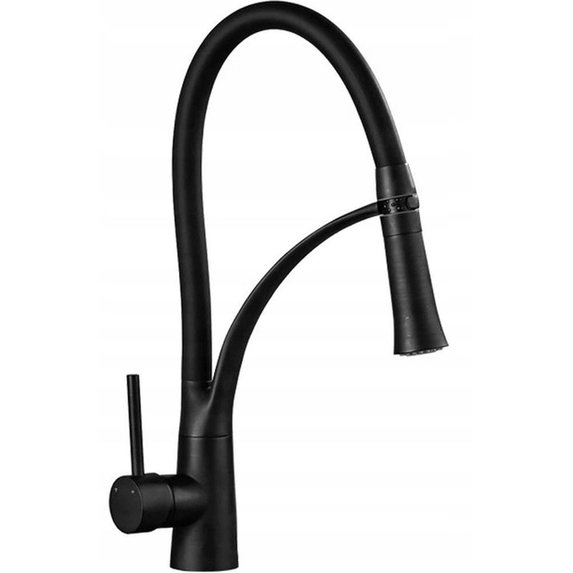 Grifo de cocina Rea Gaspar Negro