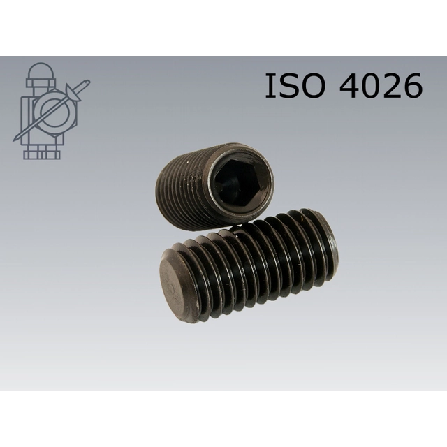 Grub screw Hexagon socket recessed end M 5 × 25-45H ISO 4029
