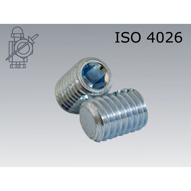 Grub screw hexagonal socket flat end M 6 × 6-45H white zinc ISO 4026