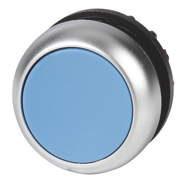 Guidare M22-D-B pulsante piatto blu pulsante