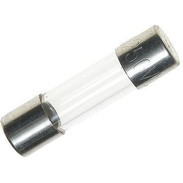 Hager Fusible de vidrio F rápido 6,3 x 32mm 0,16A (L6332FK00-160)