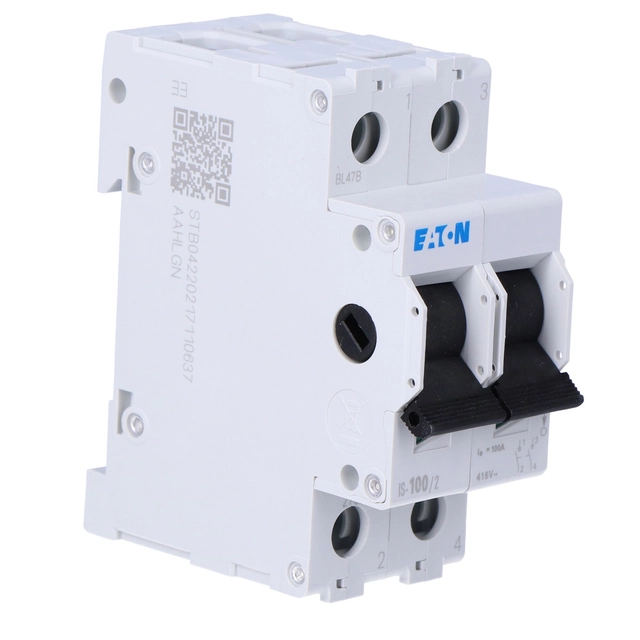 Insulating main switch IS-100/2