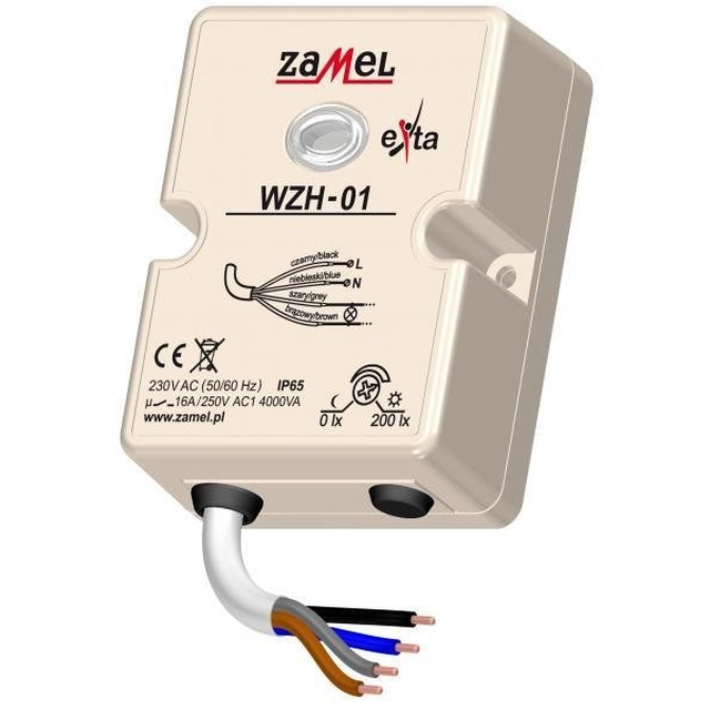 Interruttore crepuscolare da parete con sonda 230V AC IP65 TIPO:WZH-01