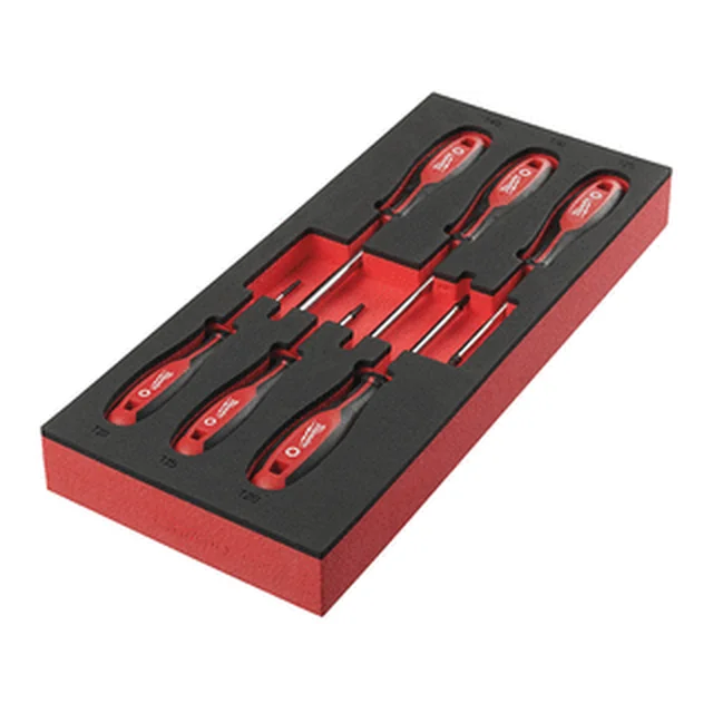 Jeu de tournevis pour pièces Milwaukee Torx 6