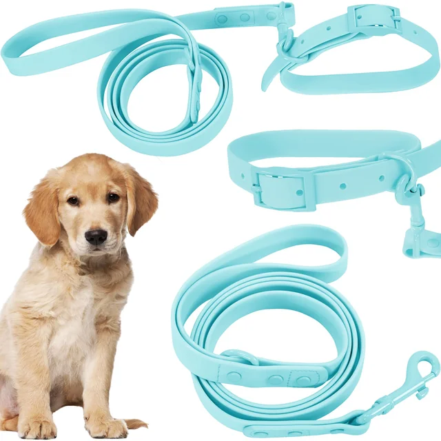 Laisse et collier pour chien PJ-074 bleu M