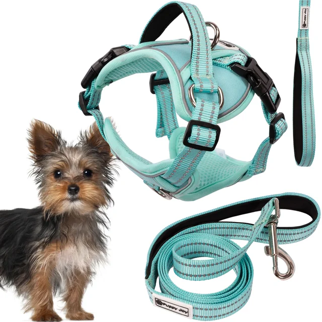 Laisse et harnais pour chien PJ-049 vert XS