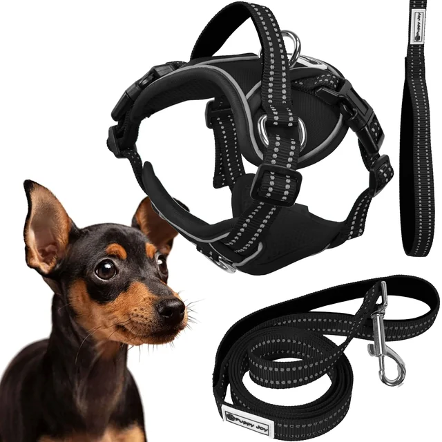 Laisse et harnais pour chien PJ-051 noir S