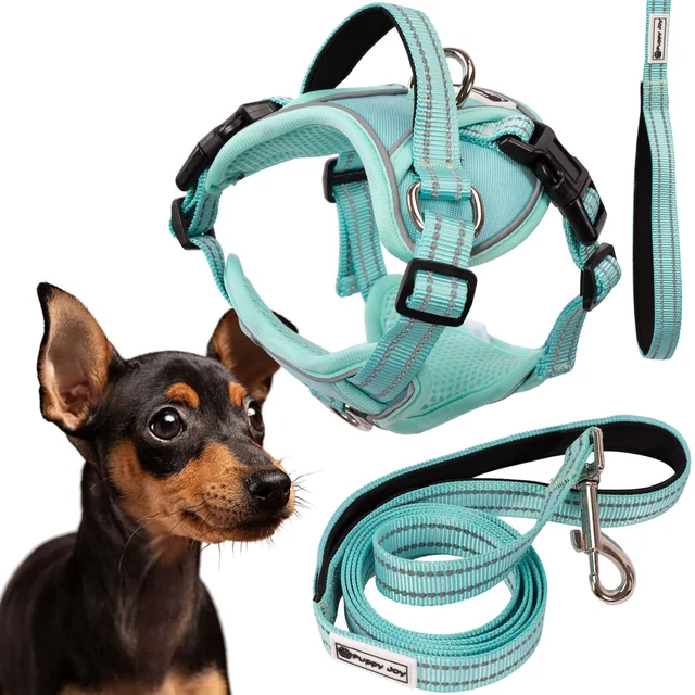 Laisse et harnais pour chien PJ-053 vert S