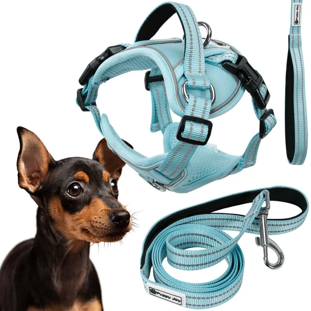 Laisse et harnais pour chien PJ-054 bleu S