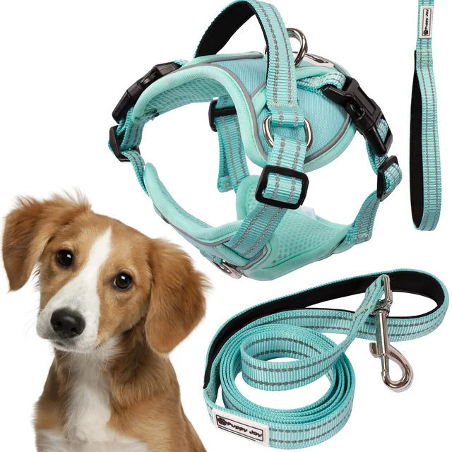 Laisse et harnais pour chien PJ-057 vert M