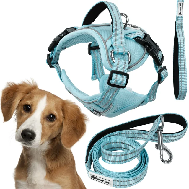 Laisse et harnais pour chien PJ-058 bleu M