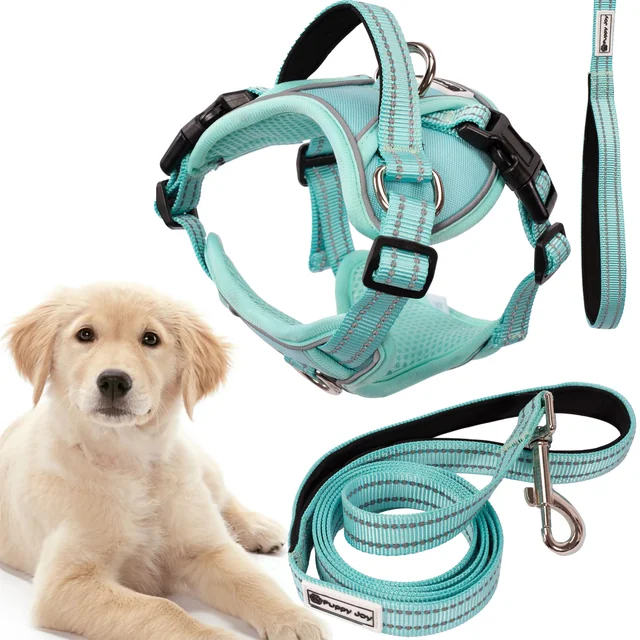 Laisse et harnais pour chien PJ-061 vert L