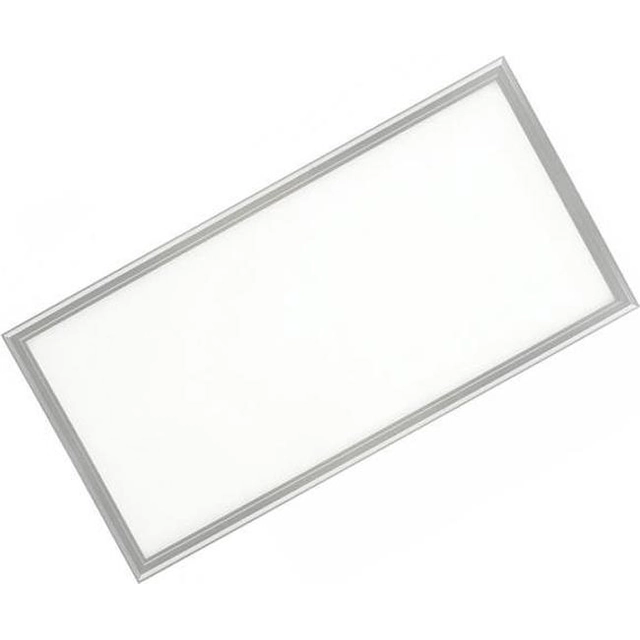 LEDsviti Dimbar silver tak LED-panel 300x600mm 24W dag vit (476) + 1x dimbar källa