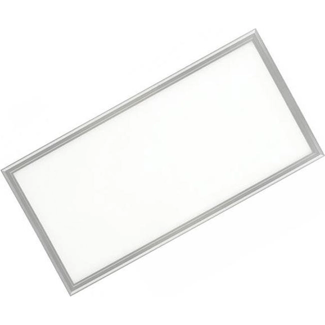 LEDsviti Dimmable silver ceiling LED panel 300x600mm 24W day white (476) + 1x dimmable source