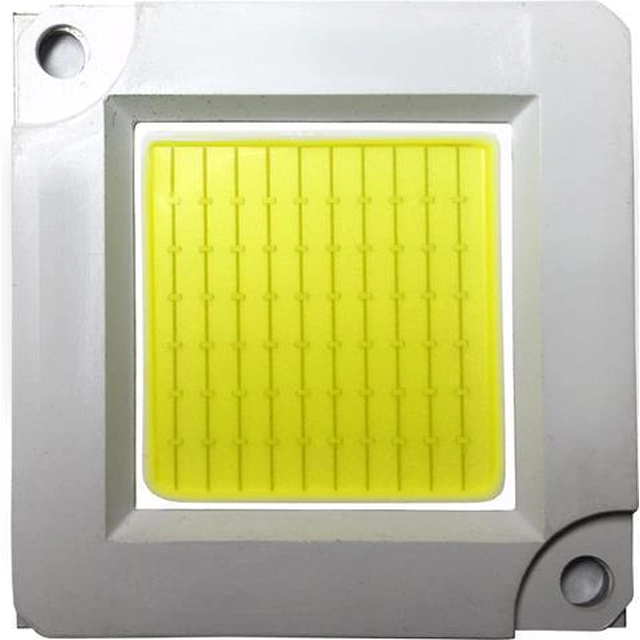 LEDsviti Dioda LED COB czip do reflektora 50W dzienna biel (3310)