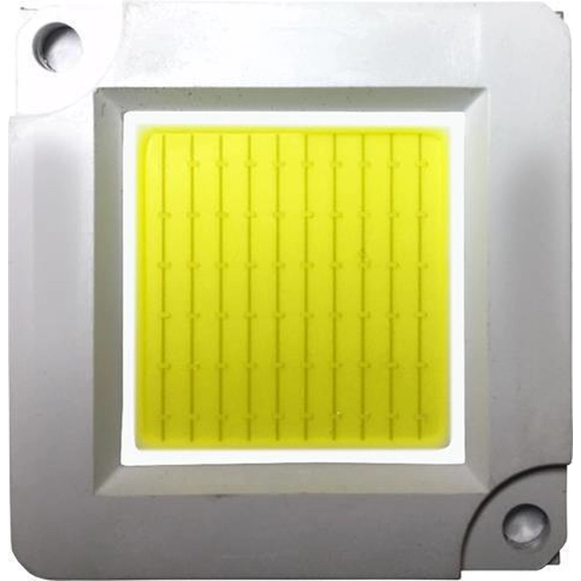 LEDsviti LED dióda COB čip pre reflektor 30W denná biela (3309)
