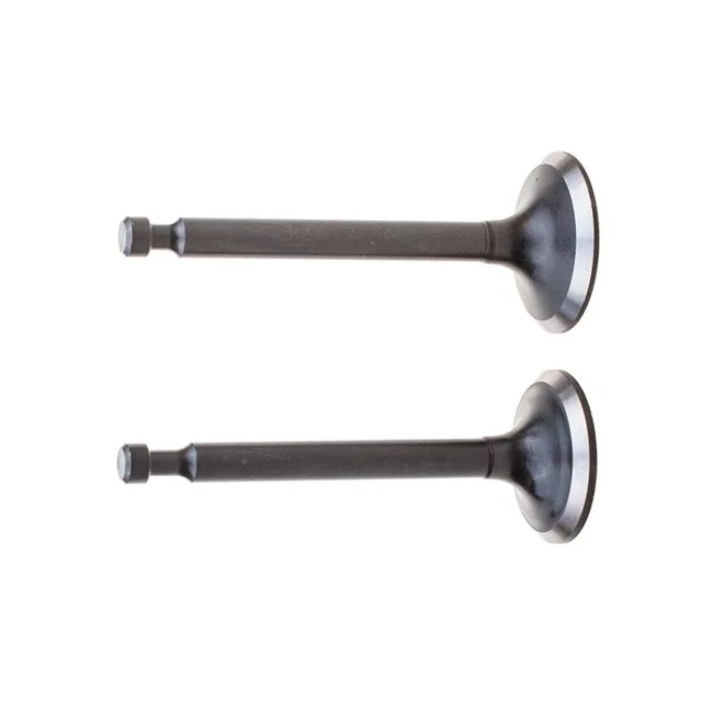 Loncin Engine Valves SetG200F Original Part 500550024-0001