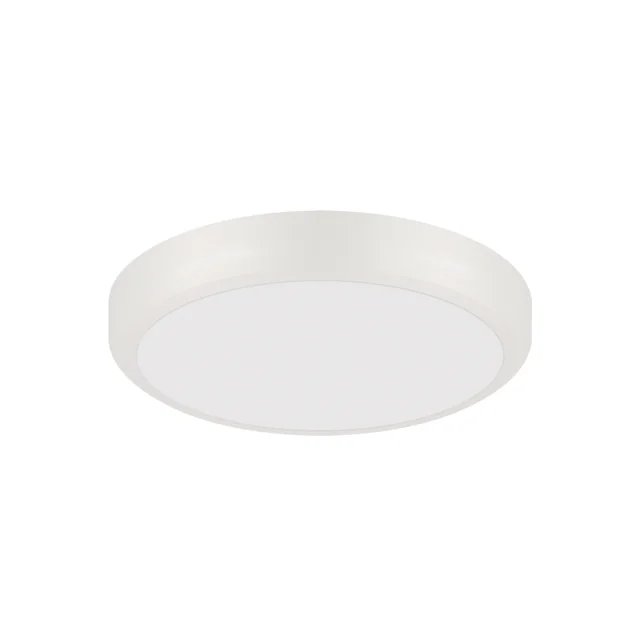 Luminária de teto LED SMD NASTIA LED C 14W WHITE CCT