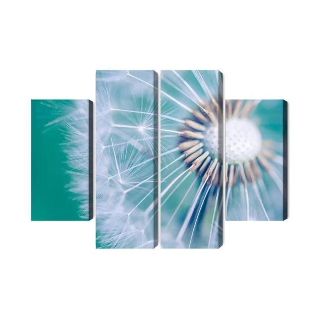 Macro Scale Multi-Piece Dandelion Image