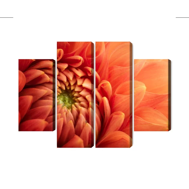 Macro Scale Orange Chrysanthemum Multi-Piece Image